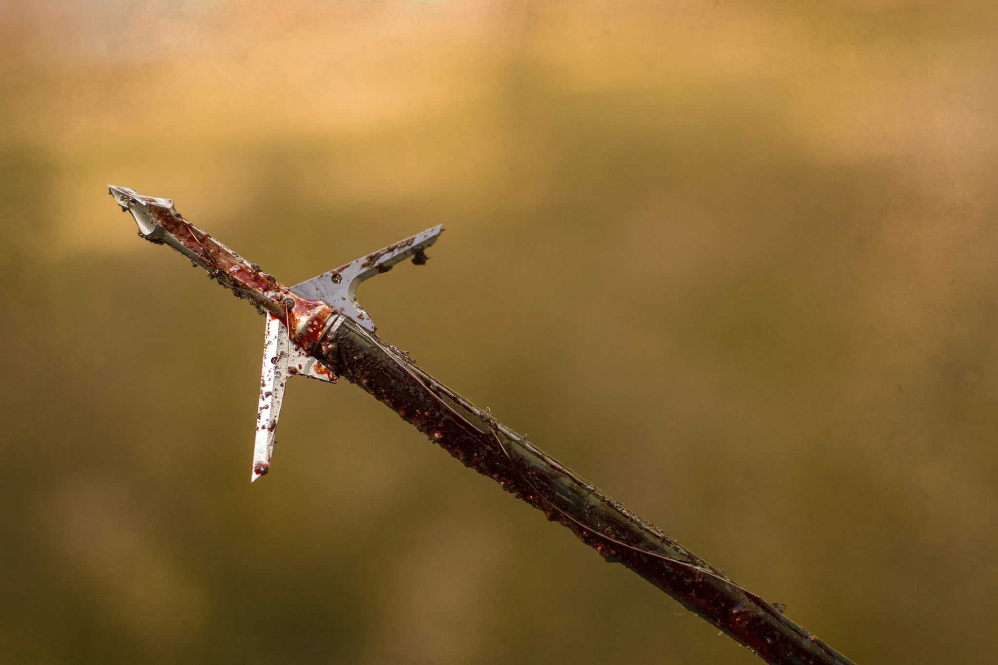 RaptorTrick Mechanical Broadhead - Image 4